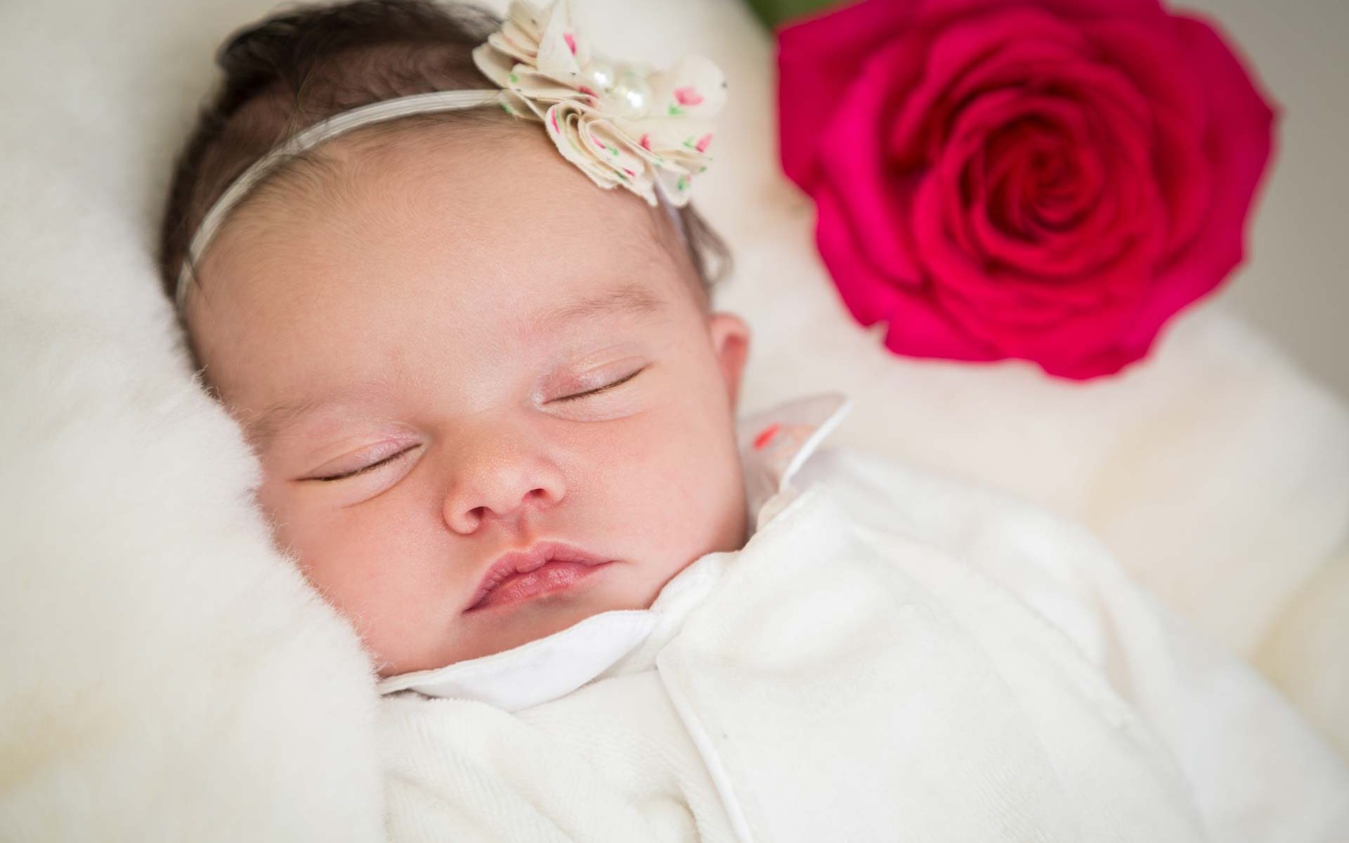 Newborn Baby Girl - Rose Flower - Headband