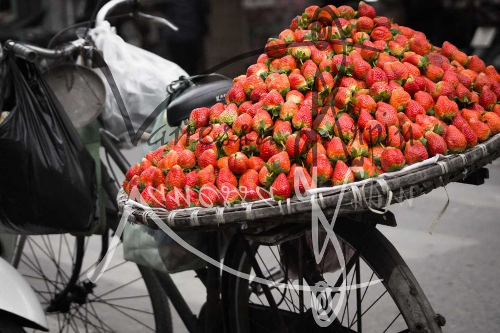Bicycle - Strawberries Basket - Vietnam - Color and Black & White