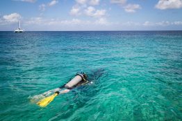 scubamau-shoredive-scubadiving-diver-turquoise-water-caribbean-cozumel-2