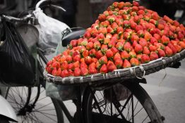 Bicycle - Strawberries Basket - Vietnam - Color and Black & White