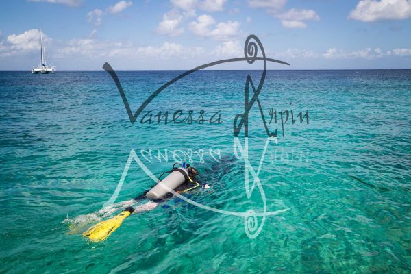 scubamau-shoredive-scubadiving-diver-turquoise-water-caribbean-cozumel-2
