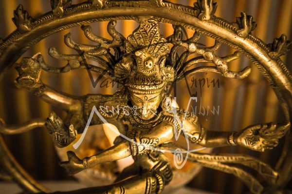statue-shakti-goddess-hindu-golden-2