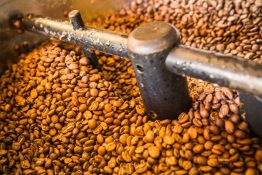 coffee beans in coffee roaster-cooling stage