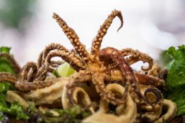 Fried Octopus over Lettuce