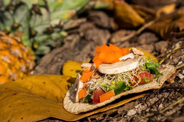 Tostada Soja Peppers Mushrooms over Dry Leaves
